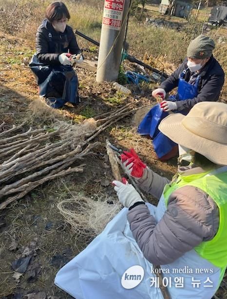 양평군 단월면 지역사회보장협의체, '구구팔팔 장수기원 명아주 지팡이 수확 행사' 개최