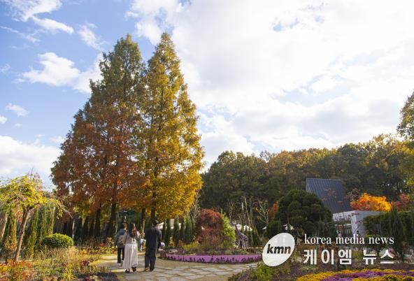 무릉도원수목원