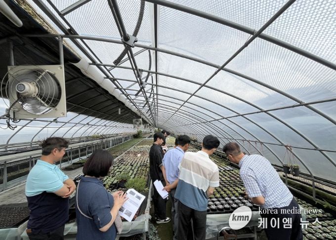 농업기술센터 실증온실에서 커피박과 우분을 혼합한 퇴비 시용 실험이 진행되고 있다.