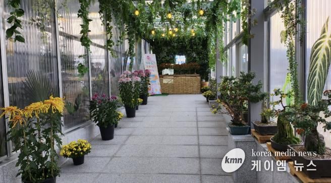 홍성군, 치유쉼터 ‘국화향기 전시 ’ 운영