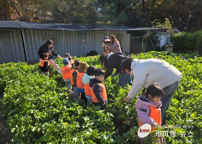남양주시, 농업기술센터 그린학습원에서 어린이 대상 텃밭 무 수확 체험 진행