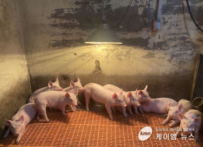 한파 대비 겨울철 축사관리