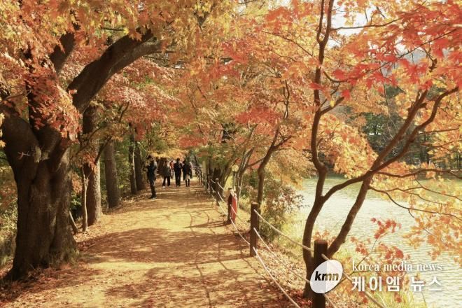 가평군 청평 옛 중앙내수면연구소 단풍길 개방행사 '성료'