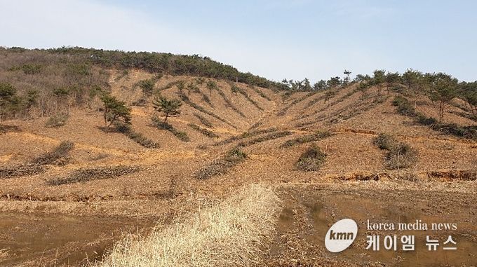 조림지 사진