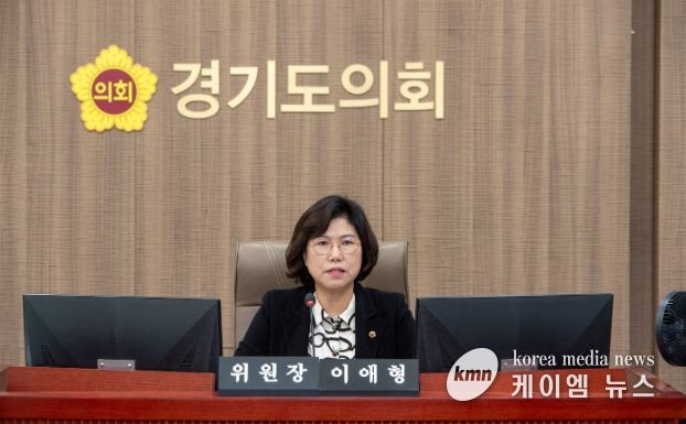 경기도의회 이애형 의원