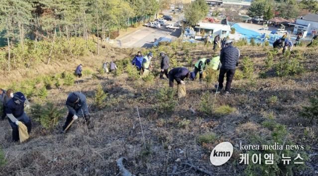 18일 안산시 백운공원에서 열린 비료시비 행사에서 참여자들이 고형복합비료 시비 활동을 진행하고 있다.