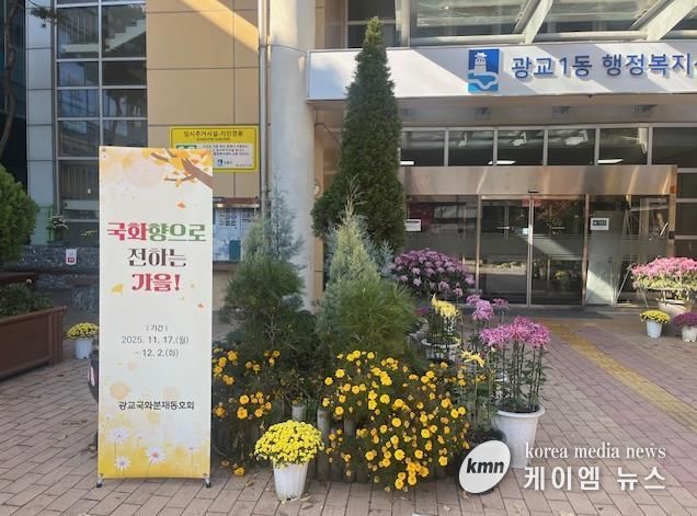 국화향으로 전하는 가을, 수원시 영통구 광교1동에서 국화분재 전시 열려