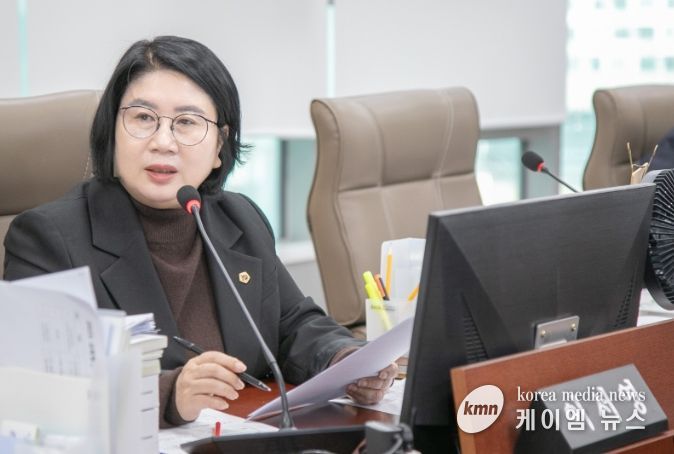 경기도의회 이서영 의원