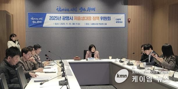 25일 시청 컨퍼런스룸에서 저출생대응정책위원회 회의가 진행 중이다