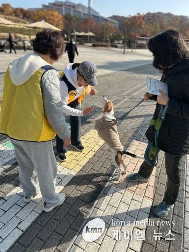 반려동물 관련 사진