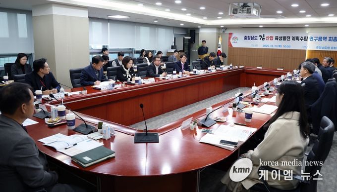 김산업육성발전 최종보고회