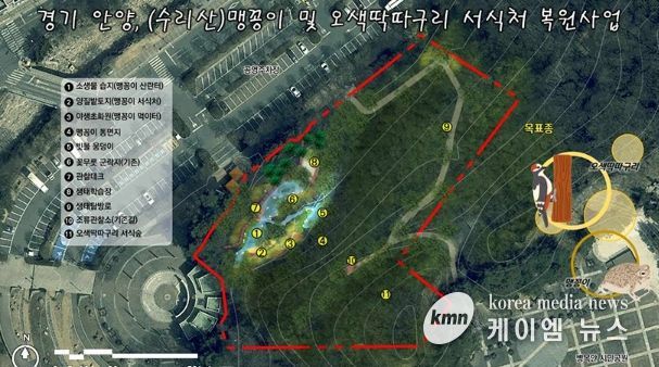 안양시, 병목안시민공원 맹꽁이・오색딱따구리 서식처 복원…국비 4.4억 확보