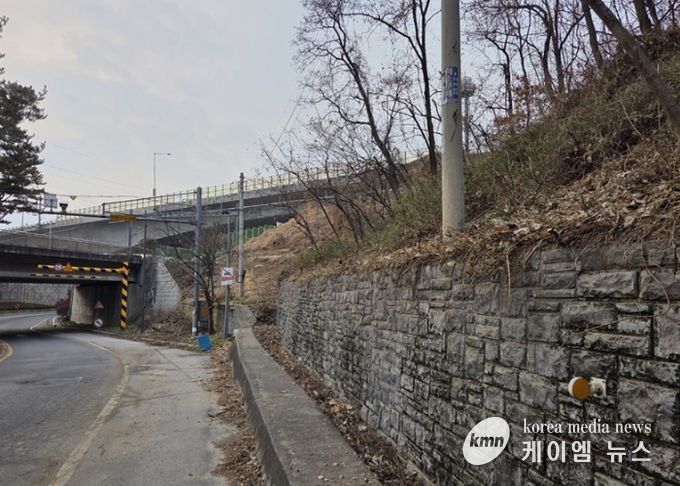 남양주시, 양정동 도심 가시박 제거로 생태환경 개선(제거 후)