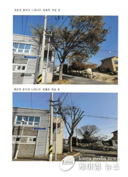 군민 생활주변 위험수목 처리 지원사업