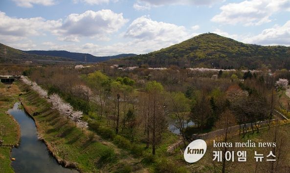 도란도란 유아숲체험원 개방 지역