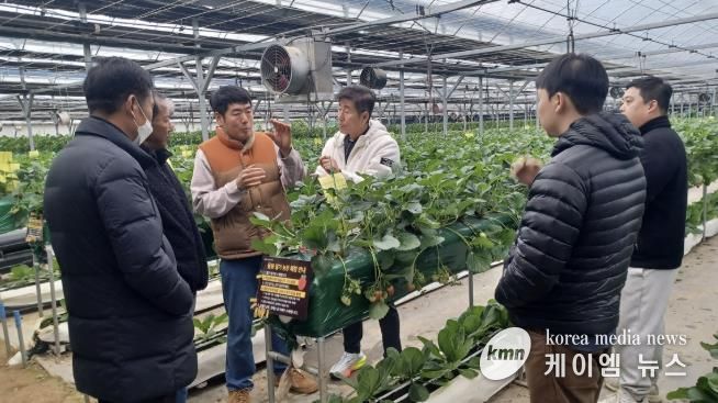 광주시, 딸기연구회 농가 대상 맞춤형 현장 자문 실시