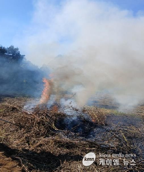 안성시, 농촌지역 산불․화재 예방 불법소각 집중단속 결과, 올해 81건 적발