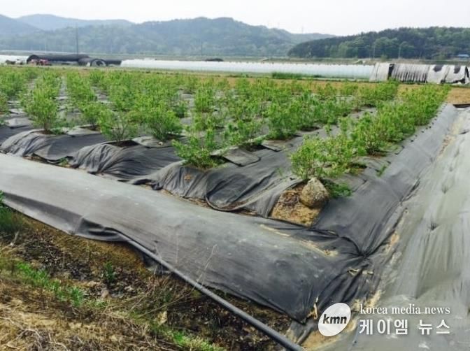 파주시, 2026년 환경친화형 농자재 지원사업 신청 시작