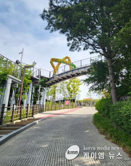 애기봉평화생태공원 꽃별모습