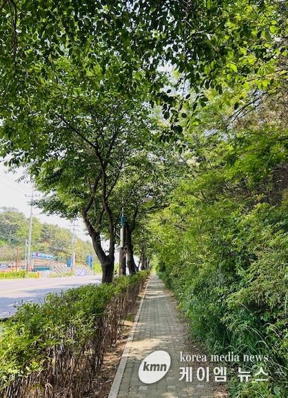 가로숲길 조성사업