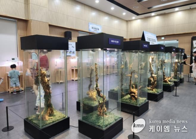 올해 진행된 벅스리움 여름방한 특별전시 ‘세상의 값진 곤충 특별전’ 모습
