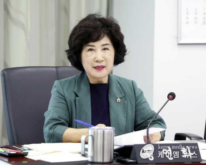 성남시의회 정연화 의원, 성남시 골목상권 공동체 지원 조례안 부결