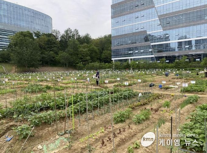 갈매텃밭(갈매동 552-9, 552-10번지, 성은교회 옆)