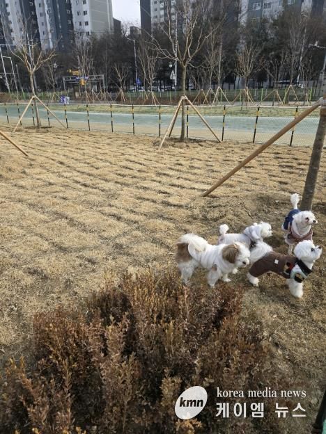 동두천시, 생연 문화공원 반려견 놀이터 정식 운영