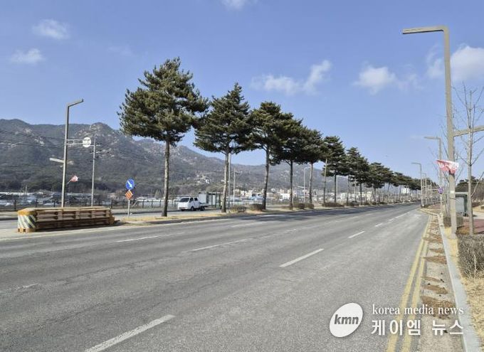 홍성군 내포신도시 관문 '도청대로' 장송 전정