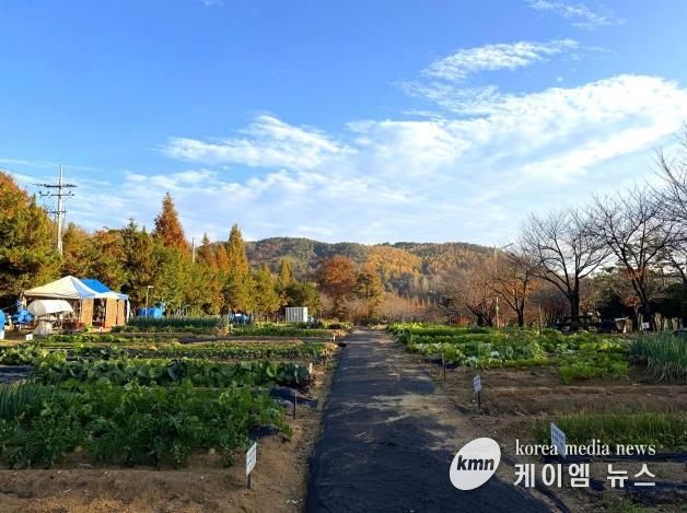 안성시, 2026년 도시농업공동체 공공텃밭 분양자 모집