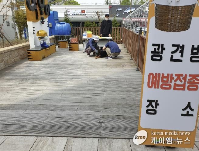 여주시, 상반기 광견병 무료 접종 실시