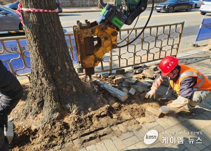 고양시 일산서구, 킨텍스로 일원 가로수 보호틀 정비 완료