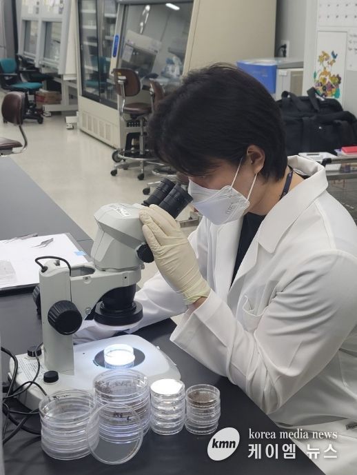 경기도, 일본뇌염·뎅기열 매개모기 감시사업 추진