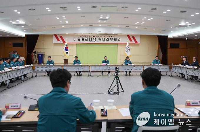 오후 3시, 별관 대회의실, 비상경제 점검 및 분야별 대책방안 논의
