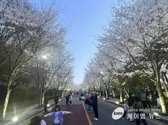 2026년 동두천 자유수호평화박물관 벚꽃맞이 야간개장, 성황리 개최