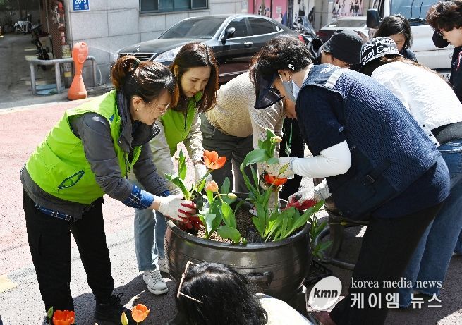 수원시 영통구 매탄4동, 통장협의회와 함께 손바닥 정원 초화 식재 실시