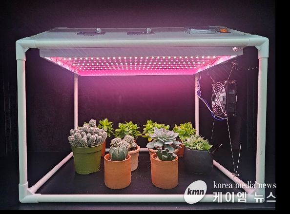 가정용 다육식물 생육상