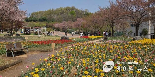 의정부 직동근린공원, 튤립 활짝…쉼과 여유 더한 힐링 공간 조성