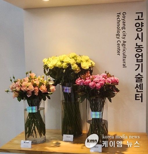 고양시,‘행주한우·장미' 특화농산물 지정